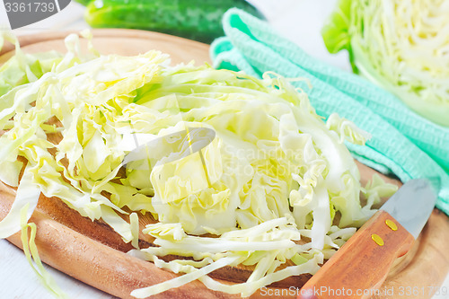 Image of cabbage