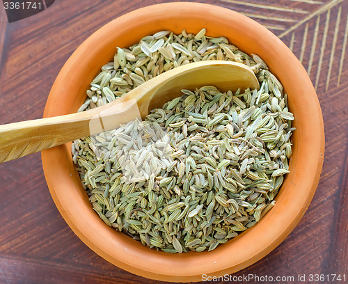 Image of fennel