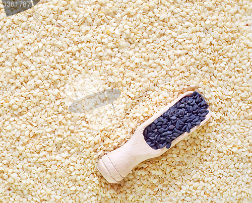 Image of sesame