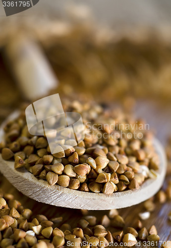 Image of buckwheat