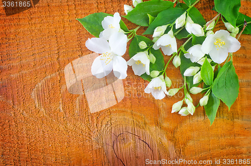 Image of jasmin on wooden background