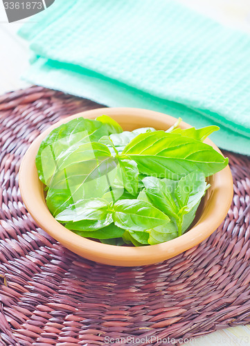 Image of fresh basil