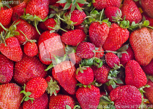 Image of strawberry