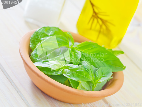 Image of fresh basil