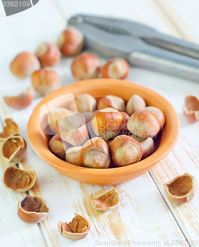 Image of hazelnuts