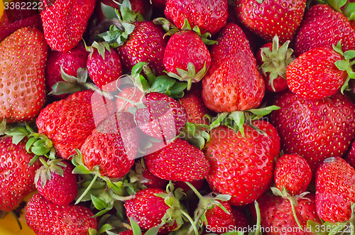 Image of strawberry