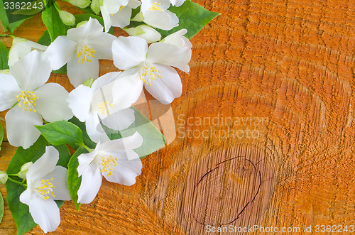 Image of jasmine spring flowers frame on white background