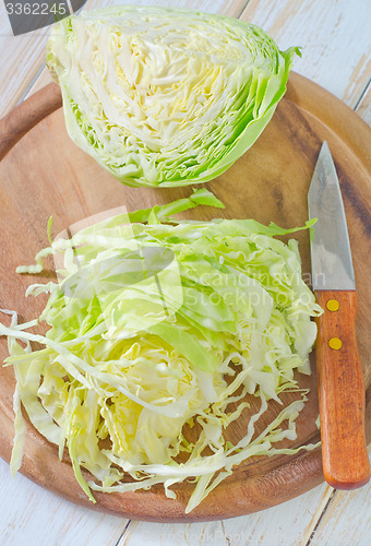 Image of cabbage