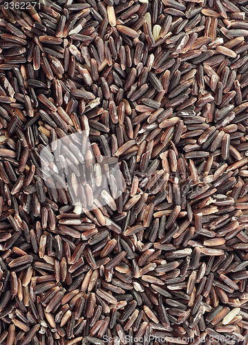 Image of raw rice