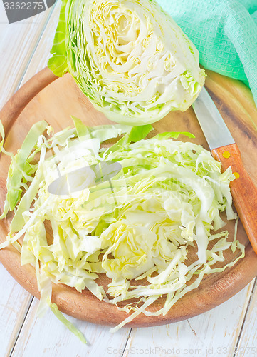 Image of cabbage