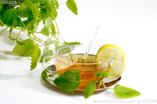 Image of Herbal Tea with Lemon Balm Leaves