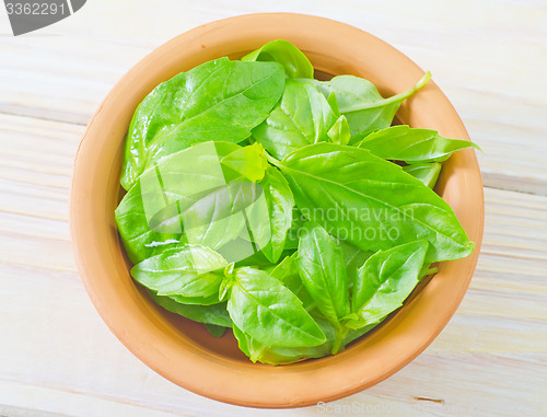 Image of fresh basil