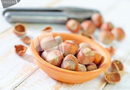 Image of hazelnuts