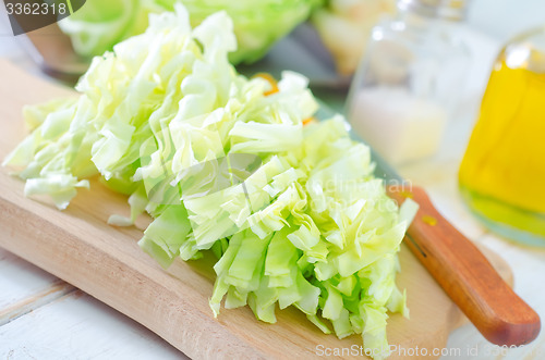 Image of cabbage