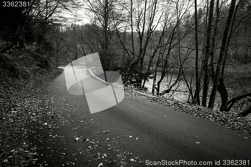 Image of Road in autumn forest landscape