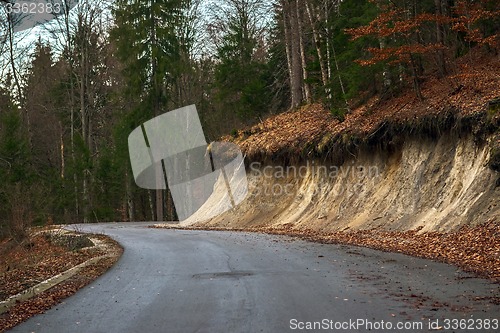 Image of Road in autumn forest landscape