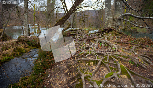 Image of Fast mountain creek flowing