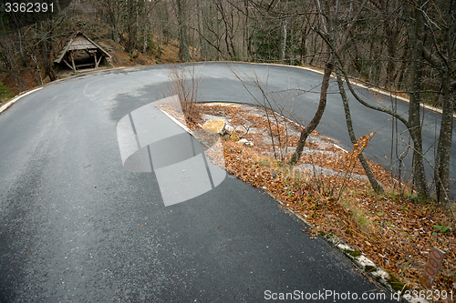 Image of Road in autumn forest landscape