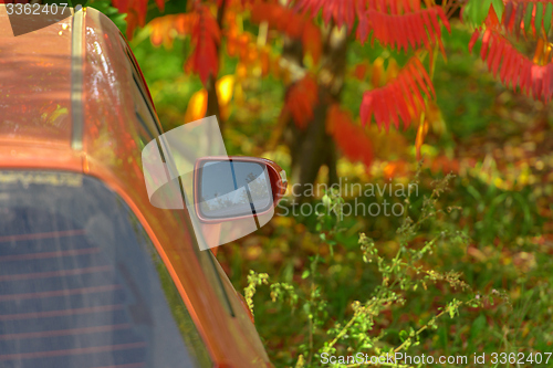 Image of Car\'s windshield with autumnal leaves