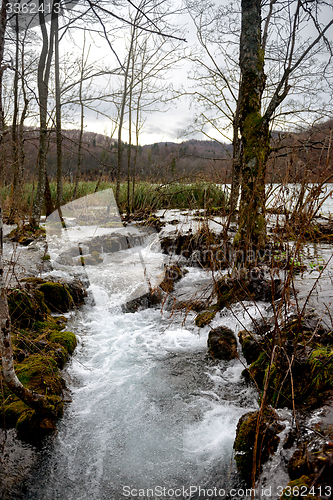 Image of Fast mountain creek flowing