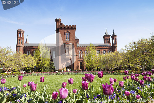 Image of Smithsonian Building