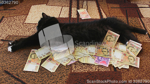 Image of cat lying on the carpet with Ukrainian money