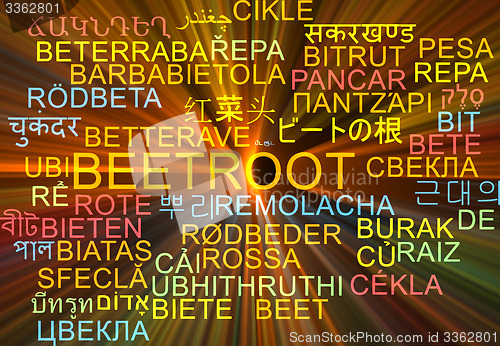 Image of Beetroot multilanguage wordcloud background concept glowing