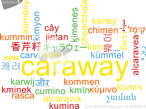 Image of Caraway multilanguage wordcloud background concept