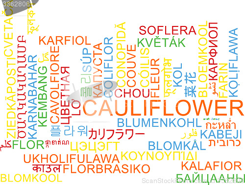 Image of Cauliflower multilanguage wordcloud background concept