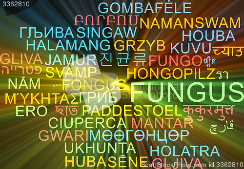 Image of Fungus multilanguage wordcloud background concept glowing