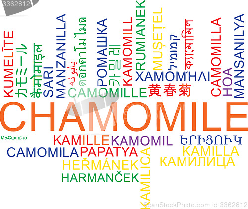 Image of Chamomile multilanguage wordcloud background concept