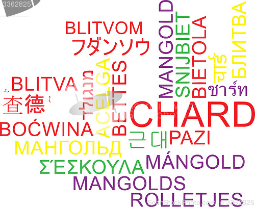 Image of Chard multilanguage wordcloud background concept