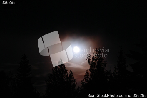 Image of Full moon in forest at night