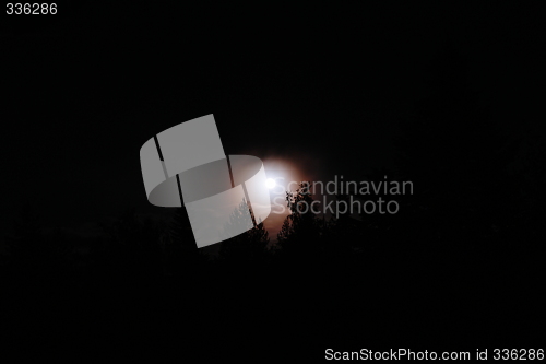 Image of Full moon in forest at night