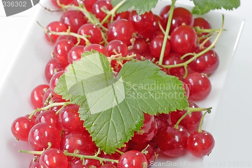 Image of Red Currants on a Plate