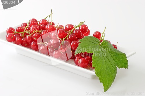 Image of Red Currants with Leaf