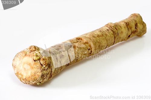 Image of Horseradish