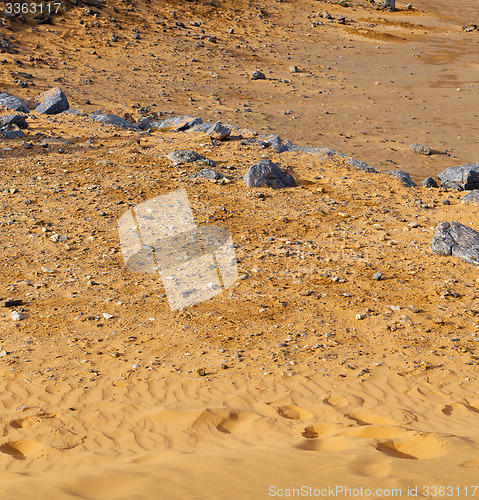 Image of  old fossil in  the desert of morocco sahara and rock  stone sky