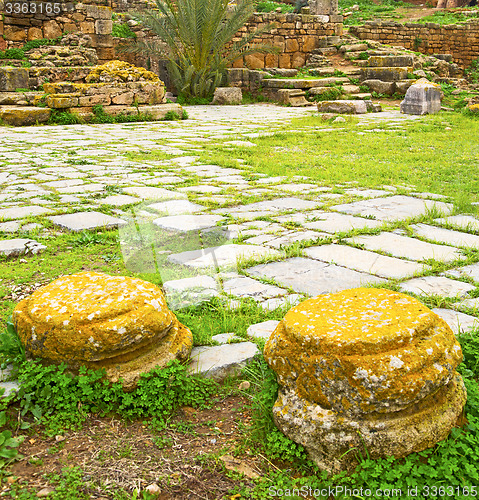 Image of chellah  in morocco africa the old roman deteriorated monument a