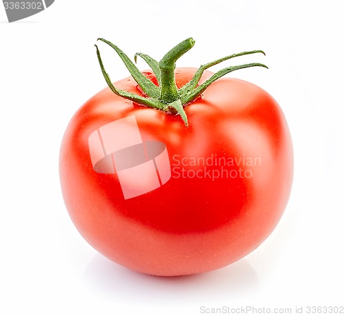 Image of fresh red tomato
