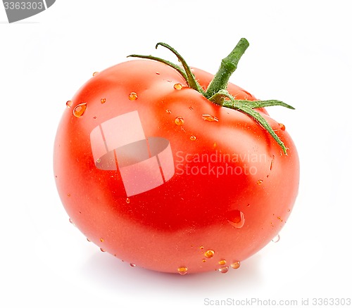 Image of fresh red tomato