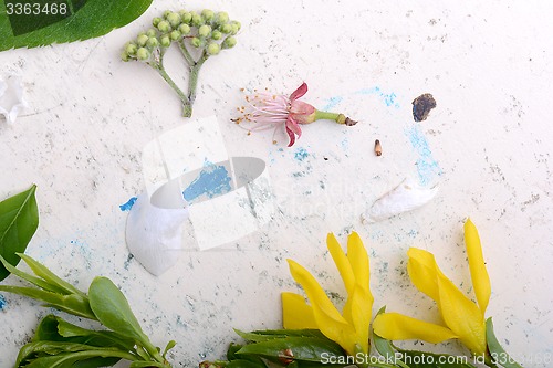 Image of Abstract floral background in vintage style. flowers on old  watercolor background