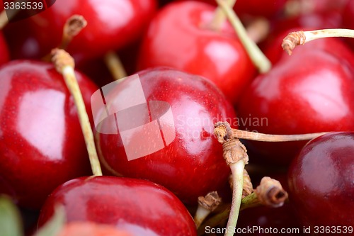 Image of Close up of fresh cherry berries