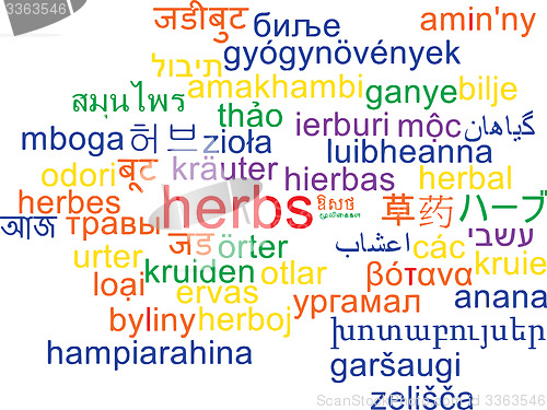 Image of Herbs multilanguage wordcloud background concept
