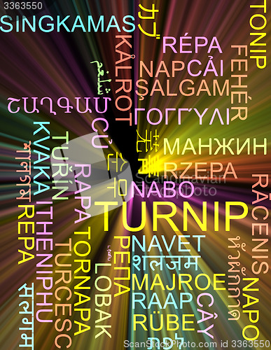 Image of Turnip multilanguage wordcloud background concept glowing