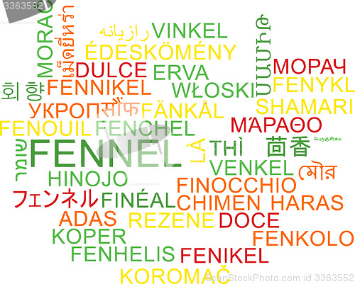 Image of Fennel multilanguage wordcloud background concept
