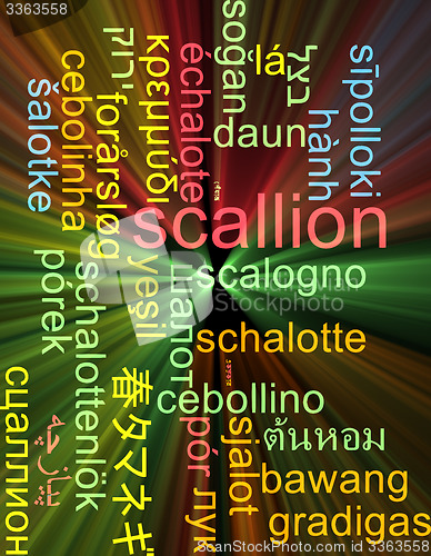 Image of Scallion multilanguage wordcloud background concept glowing