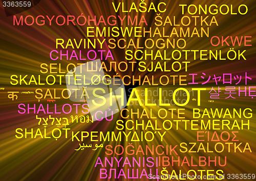Image of Shallot multilanguage wordcloud background concept glowing