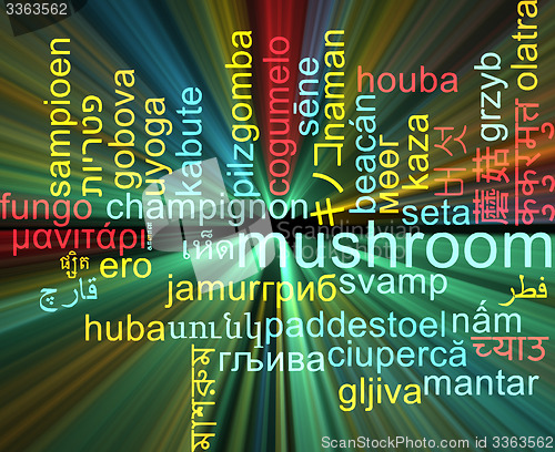Image of Mushroom multilanguage wordcloud background concept glowing