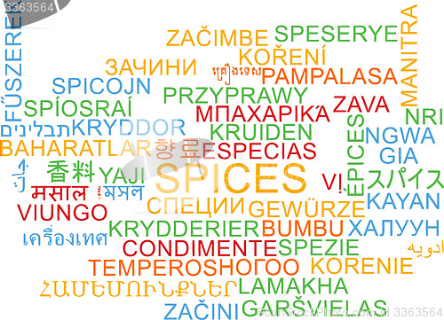 Image of Spices multilanguage wordcloud background concept